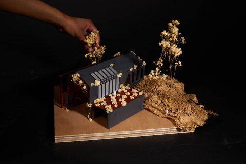 A small architectural model with angled grey and red panels set in textured brown terrain, surrounded by tiny dried plants. - a hand is in shot touching the model
