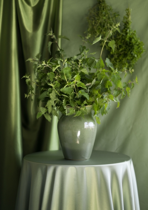 A green ceramic vase sits on a round table draped in light green satin, filled with leafy stems. Behind it, green fabric and hanging dried foliage create a monochromatic scene that highlights texture, tone, and natural forms.