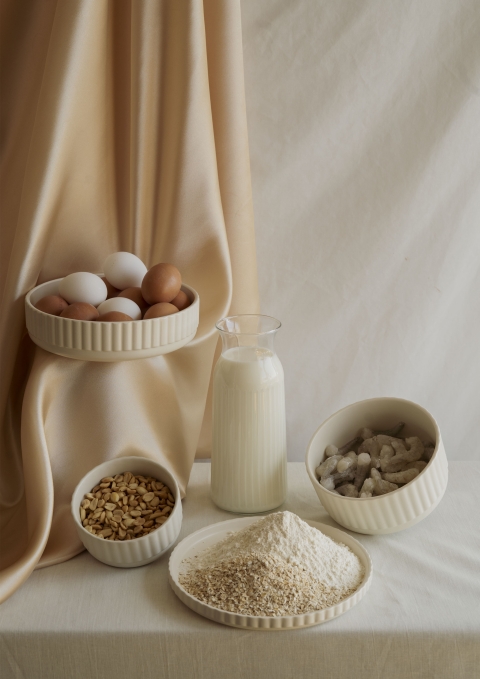 A still‑life arrangement of common food items sits against a soft fabric backdrop, including eggs, milk, peanuts, shrimp, and flour, presented in a calm, monochromatic scene that highlights their textures and forms.